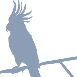 demo-attachment-1122-Path-6299-1-e1594801206321