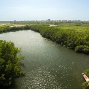 Green-Season-Gambia_LemonCreek